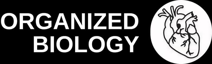 Organized Biology