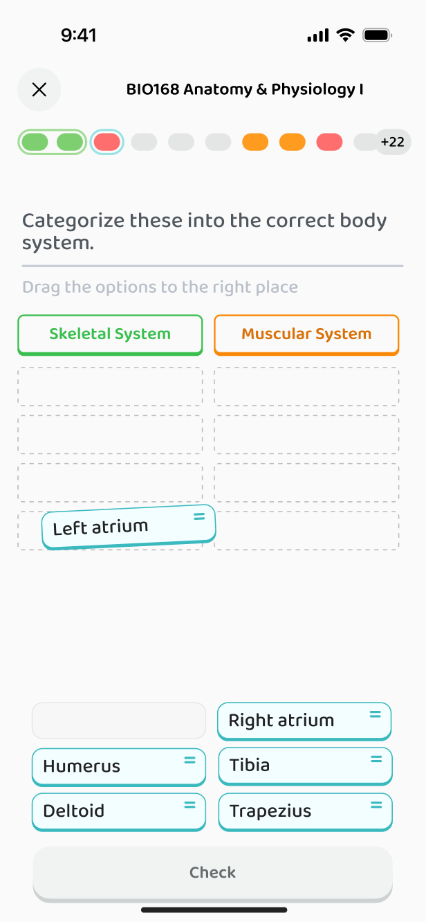 Categorise exercise