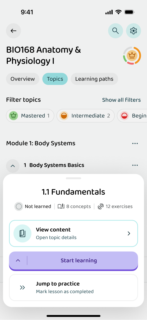 Starting a lesson inside a topic