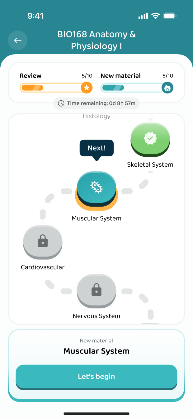 The learning path through the course