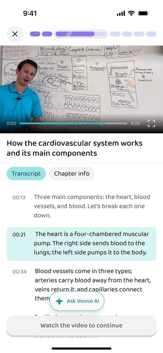 A video lesson with its transcript in the app